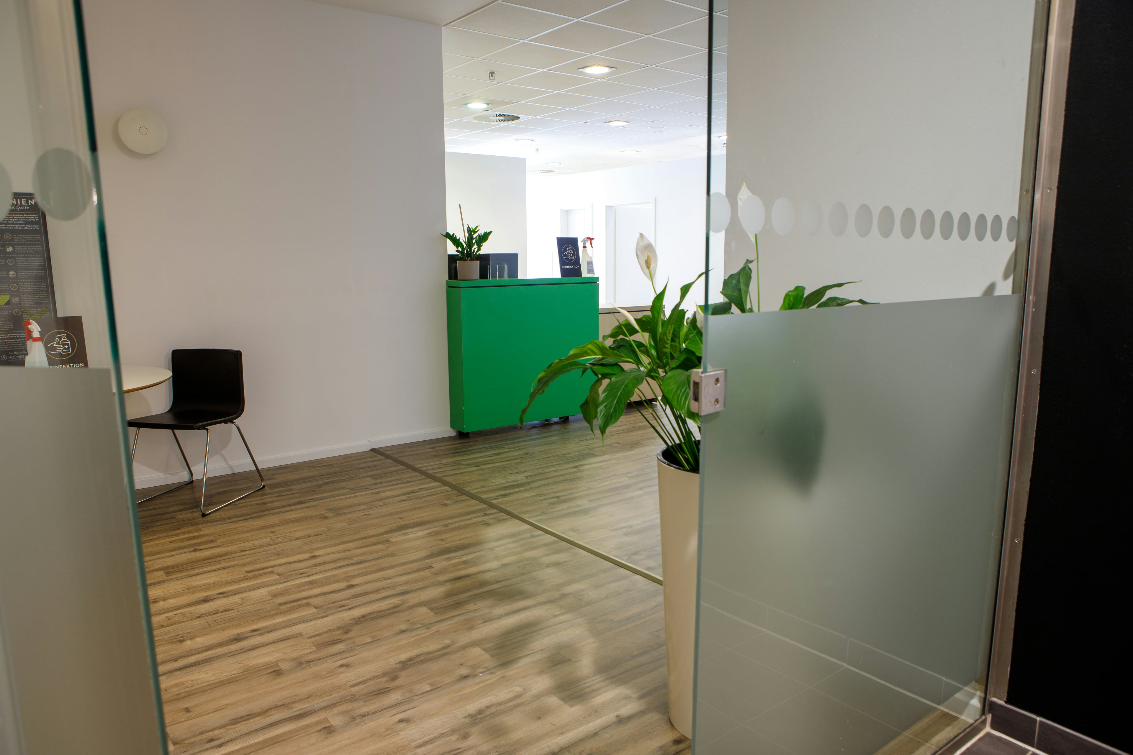 Recepção acolhedora com design moderno em tons neutros e plantas naturais